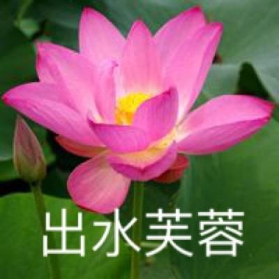 新御剑情缘破解版下载